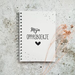 Alternative view of Oppasboekje stip