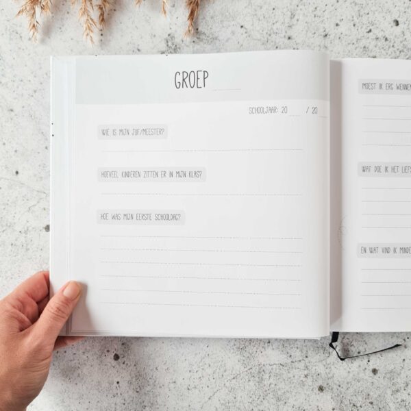 Mijn schooltijd - Invulboek - Roze - Afbeelding 2