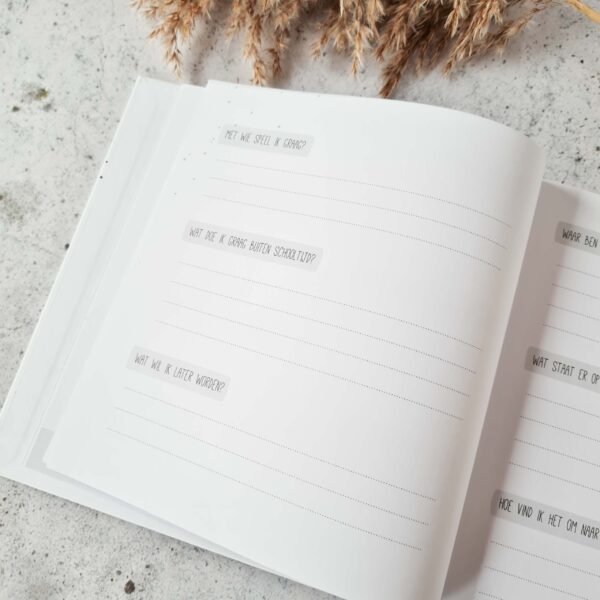 Mijn schooltijd - Invulboek - Roze - Afbeelding 4