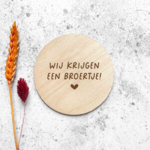 Wij krijgen een broertje - houten cirkel
