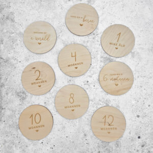 Alternative view of Mijlpaalcirkels | eerste jaar | Fries